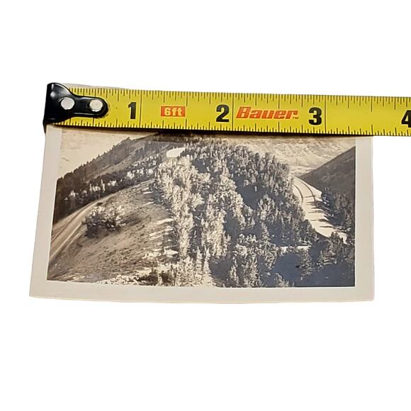 Vtg B&W Photo Found 1940 Yellowstone Park Road Tree Mountain Top View Snapshot - Picture 4 of 4
